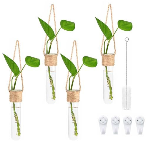 BYYLECL 4PCS Glass Planter Hydroponics, Small Wall Vase Window Decoration, Wall Hanging Test Tube Vases for Flowers Indoor Propagators for Plants