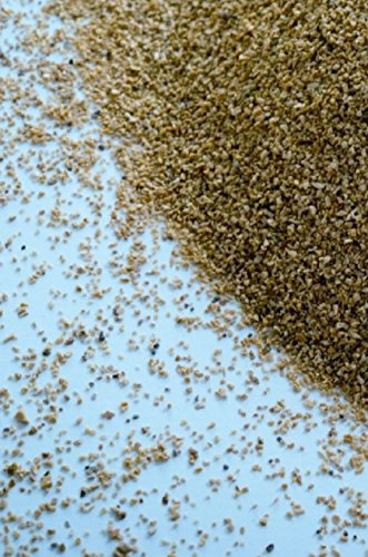 Sand Blasting Walnut Shell Cabinet Tumbler Polisher Grit 5kg 0.5-1mm 16/50 Mesh