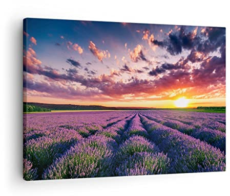 Bilder auf Leinwand Lavendel Berge Feld Leinwandbild mit Rahmen 70x50cm Wandbilder Dekoration Wohnzimmer Schlafzimmer Küche Deko Klein Wanddeko Bild Wand Kunstdruck Art Wall Decor Canvas AA70x50-3816