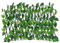 RANRAO Plantes décoratives réalistes - Treillis extensible - Clôture de jardin - Brise-vue - Feuilles de lierre artificielles