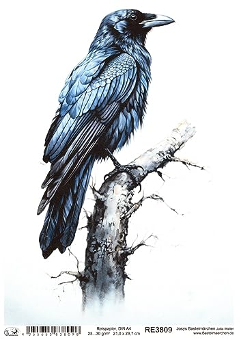 Josys Bastelmärchen Reispapier A4 Strohseide Decoupage außergewöhnlicher Rabe Vogel RE3809