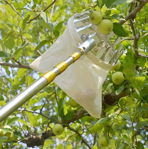 mhyGlayleure Obstpflücker mit verstellbarem Teleskopstiel, Edelstahl (5 Meter)