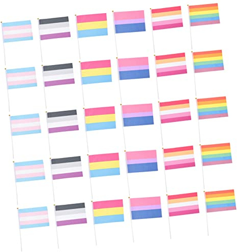 Gatuida 30pièces Mini Drapeaux à Main Petits Drapeaux à Main Lgbtq Drapeau Gay Pride Drapeau Lgbt