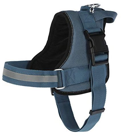 Kerbl Pet Maxi-Pet Maestro 2.0 80214 Harness Petrol 38 mm x 83-113 cm with Address Bar