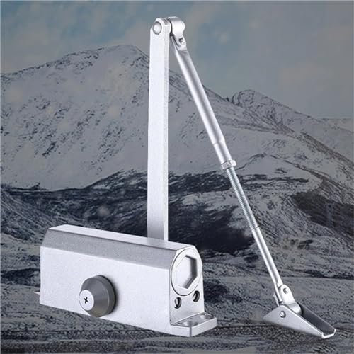 Automatic Door Closer Spring Hydraulic Buffer Metal Concealed Gate Closer Adjustable Door Stopper Speed Mute Closing 25 to 85KG 1Pcs(25-45KG)