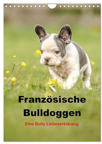 Französische Bulldoggen - Eine Bully Liebeserkärung (Wandkalender 2026 DIN A4 hoch), CALVENDO Monatskalender: Wundervolle Aufnahmen der beliebten ... in traumhaften Bildern (CALVENDO Tiere)