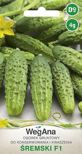 WegAna Cetriolo di terra Śremski F1 4g, Semi di ortaggi robusti Coltivazione di semi da balcone e giardino
