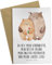Mr. & Mrs. Panda Grußkarte Bären Liebe - Geschenk, Ansichtskarten, Umarmen, Verlobt, Klappkarte, Geschenk Hochzeit, Einladungskarte,