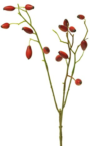 artplants.de Kunstzweig Heckenrose XINGRUI mit Hagebutten, rot, 45 cm | Künstliche Blume