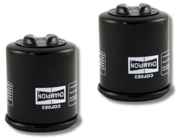 RIDE AND CUSTOM Ölfilter Set mit zwei Ölfiltern kompatibel mit PIAGGIO VESPA PRIMAVERA 4T 3V IGET ABS (EMEA) 2016-2020