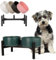 Futternapf Hund Erhöht Hundenapf Set - Doppelte Fressnapf Keramik mit Edelstahlständer - Ideal für Kleine und Mittelgroße Hunde - 850 ml x 2 - Grün