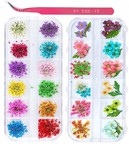 2 Boxes Nail Art Dried Flowers,UNIME 24 Colors Dry Flowers Mini Real Natural Flowers Nail Art Supplies 3D Applique Nail Decoration Sticker for Tips Manicure Decor Accessories,Gypsophila Flowers