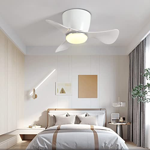 Smart Designer Mini Ceiling Fan with Lights and Remote Control - DC Reversible 6 Speed - Ideal for Bedroom Or Balcony - Mute Operation - Chandeliers Ceiling Light