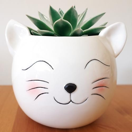 Evovee Vaso da fiori a forma di gatto bianco, in ceramica, carino, per casa, piante grasse, cactus, novità, vaso per animali, fiori, faccia dei cartoni animati, giardino interno