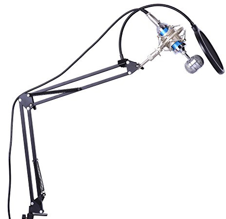 Mtlavishness Microphone Condenser Professionnel Kit Complet Design Précis Faible Bruit Haute Sensibilité Idéal pour Studio Enregistrement Diffusion Réseau Chant Câble 3 5mm Support Choc