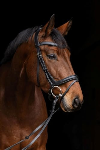 Covalliero Trensenzaum Anatomic schwarz Gr. Warmblut Trense