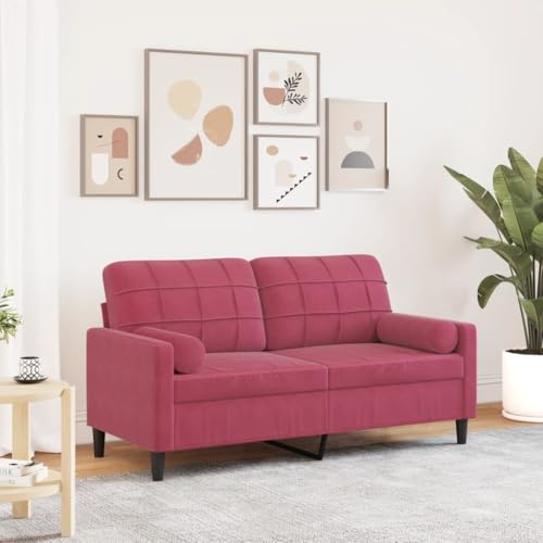 HETFTJN Kleines 2-Sitzer-Sofa Weinrot 157x77x80 cm Samt Zweisitzer Couch mit Zierkissen，Modernes Design & Robustes Metallgestell，Platzsparend für Wohnzimmer Jugendzimmer und Balkon