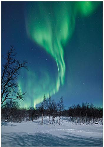 Wallario Poster - Polarlicht in Schweden in Premiumqualität, Größe: 70 x 100 cm (Riesenposter)