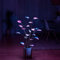 The Magical Led Houseplant - 100 LEDs, Artificial Plants for Home Decor Indoor, Decorative Fairy Light, Bonsai Houseplant Light for Social Gatherings, Dinner Parties, Date Nights (A)