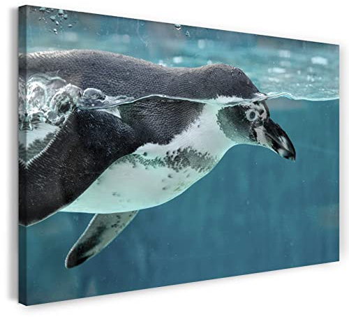Printistico Leinwandbild (80x60cm) Pinguin, Unter Wasser Tauchen Vogel Natur, kühle Farbe, Tier-Fotos, Natur-Fotografie, echter Holz-Keilrahmen inkl. Aufhänger, handgefertigt in Deutschland