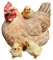 Aspinaworld Gartenfigur sitzende braune Huhn Figur mit Küken 21 cm, Figur für den Garten, wetterfeste Deko