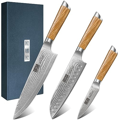 HOSHANHO Damasco Set Cuchillo 3 Piezas, Profesional Set Japoneses de Acero Damasco de 67 Capas, 20cm Cuchillo de Cocina, 18cm Cuchillo Santoku, 9.5cm Cuchillo de Fruta