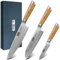 HOSHANHO Damastmesser Set 3 teiliges, Profi 67 Schichten Damaststahl Damastmesser Küchenmesserset, 20cm Kochmesser & 18cm Santoku Messer & 9.5cm Schälmesser