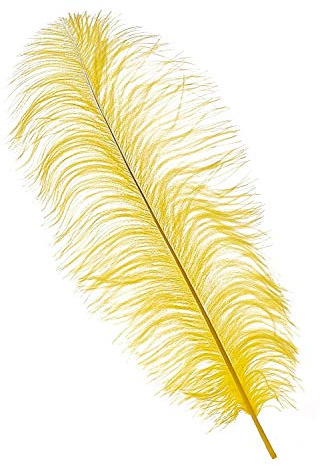 WedDecor Extra Large Yellow Natural Ostrich Feathers 19-23 (50-60cm) Long for Wedding Centerpieces, Home, Decorating Costumes, Embellishment, Art & Craft, Parties (Pack of 10)