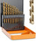 Lichamp Left Hand Drill Bit Set for Metal Sheet, 13-Piece Genuine M2 HSS Twist Reverse Drill Bits, 13 Sizes from 1/16 to 1/4 inches