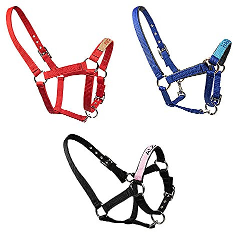Personalisierte Pferd Halfter mit Name - Pferdehalfter aus Weaver Leder verstellbar personalisierbar - Monogrammierte Pferd Halter