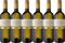 Elena Walch Pinot Grigio Alto Adige DOC 2023 Trocken (6 x 0.75 l)