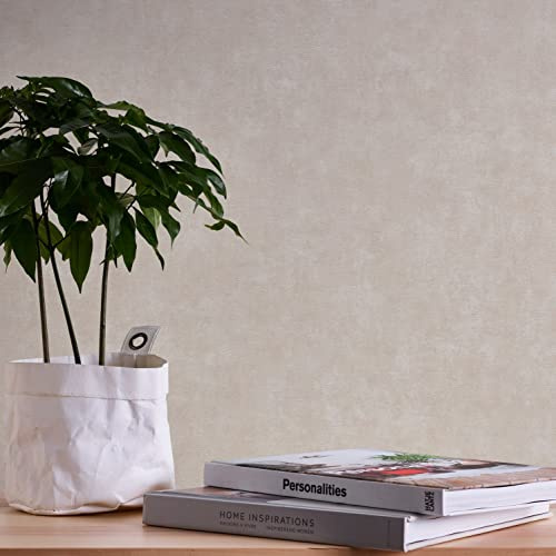 A.S. Création Wallpaper Plain Cream Grey Terra 389231 - Non-Woven Wallpaper 10.05 m x 0.53 m Made in Germany
