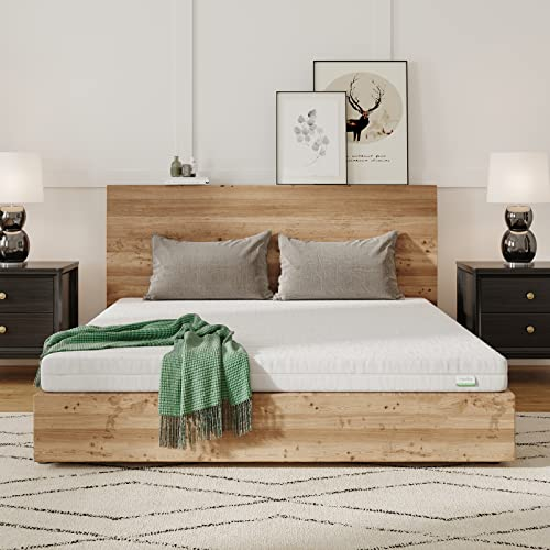 Novilla Matratze 120x190 H2 & H3 7 Zonen Kaltschaummatratze Bezug 60° Waschbar Schaumstoff Rollmatratze 2in1 Öko-Tex Zertifiziert Höhe 14cm