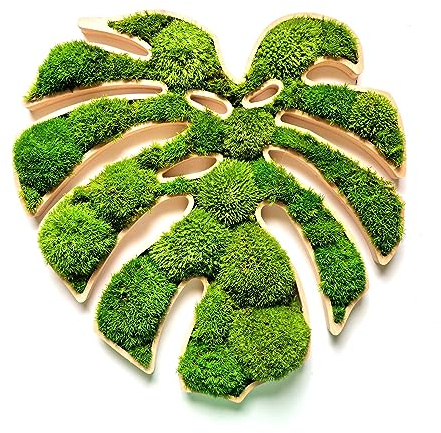 LasDecorias Moosbild Monstera Blatt Wanddeko Wandbilder Moderne Wand Deko Wandbegrünung Wandschmuck Natürliches Moos Lebend Konserviert Kugelmoos Ballenmoos Sperrholz Grün 40 cm