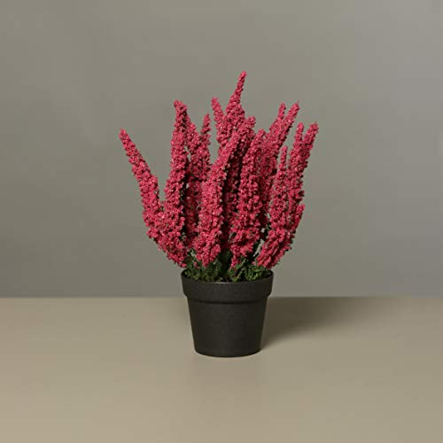 A&M Kunstblume getopfte Erika Calluna im schwarzen Topf, künstliches Heidekraut, 27 cm, 19 Blütenstiele, Herbstblume, Kunstpflanze (Fuchsia)