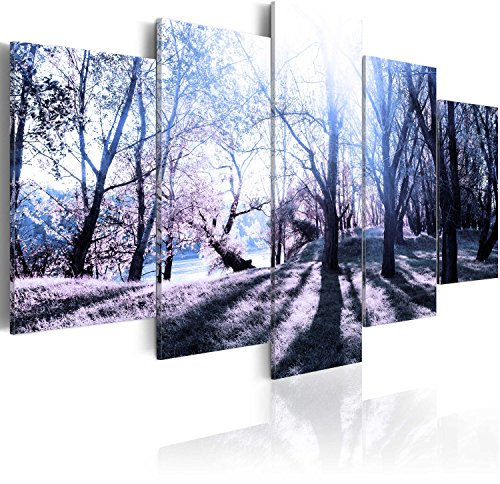 B&D XXL - Akustikbild 225x112 cm Bilder mit Akustikschaumstoff Hochleistungsschallabsorber Schallschutz Leinwandbild XXL 5 tlg Wandbild c-B-0030-b-p