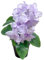 Murago - Künstliche Azalee im Topf Lila - Kunstblume Kunstpflanze Pflanzen Blumen Tischdeko Frühling Dekoration helles Flieder Violett für Balkon Hochzeit