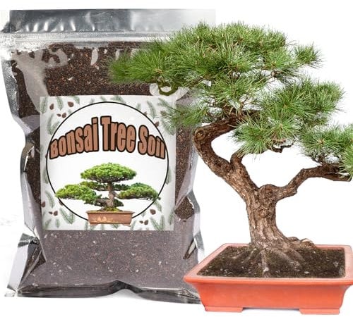 Bonsai-Erde-Mischung gebrauchsfertig, organische Bonsai-Baum-Erde passend für kleine Bonsai-Töpfe, geeignet für Bonsai-Sämlinge, Umtopfen oder Bonsai-Starter-Set (4L)