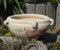 Schale Blumentopf echt Terrakotta 20 cm, Blumenkübel für Garten und Wohnung Terracotta kein Kunststoff, Blumen
