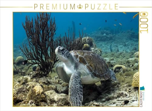 CALVENDO Puzzle Suppenschildkröte • Playa Piskado • Curaçao | 1000 Teile Lege-Größe 64 x 48 cm Foto-Puzzle für glückliche Stunden