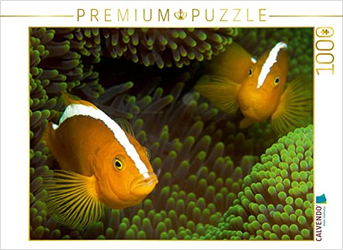 CALVENDO Puzzle Nemos in ihrem grünen Zuhause | 1000 Teile Lege-Größe 64 x 48 cm Foto-Puzzle für glückliche Stunden