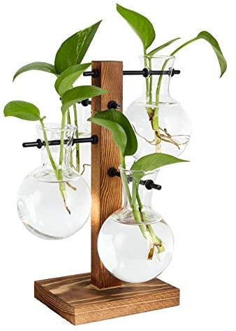 PAG Hydrokultur Glas Vase Kit mit 3 Verschiedenen Längen Glasvase und Massivholz Stand,Garten Glas Pflanzenregal Indoor,für Home Office Dekoration