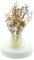 F1885 LED-Glocke Trockenblumen, Kunststoff, Holz, lackiert, 10 warmweiße LEDs, batteriebetrieben, An-/Aus-Schalter Maße: Ø 11 x 19 cm, ohne Batterien, nur für den Innenbereich geeignet