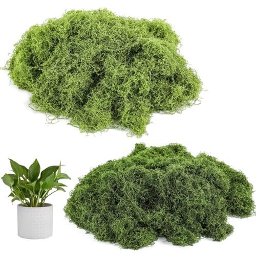 CPJJ 100g Mousse stabilisée, mousse terrarium, décoration florale artificielle murale, Mousse Artificielle pour décorer