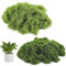 CPJJ 100g Mousse stabilisée, mousse terrarium, décoration florale artificielle murale, Mousse Artificielle pour décorer