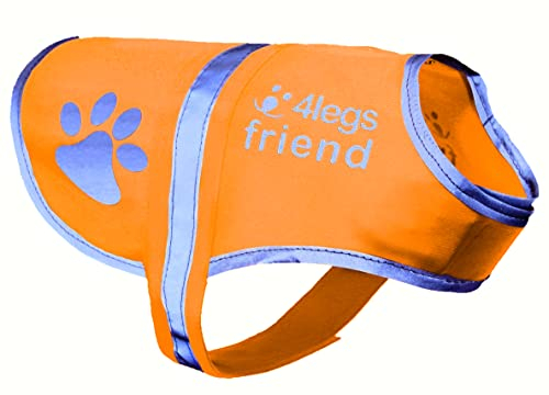4LegsFriend Hunde Sicherheitsweste (5 Größen, M) - Hohe Sichtbarkeit für Outdoor Aktivitäten Tag und Nacht, Hält den Hund Sichtbar, Sicher vor Autos & Jagtunfällen | Blaze Orange