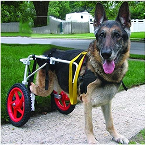 REMEK Einstellbar Hunderollstuhl Hinterbeine Rollstuhl Für Hunde Katze Hase Hintere Füße Rehabilitation Rollwagen Gehhilfe Hundegehilfe Hunderollwagen Rehabilitationstraining