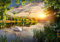 wandmotiv24 Fototapete Schwan im Fluss, M 250 x 175 cm - 5 Teile, Wanddeko, Wandbild, Wandtapete, Sonnenuntergang, Wasser, Möwe M5756