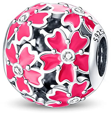 Pandach Colgante para pulsera de mujer de plata de ley 925, apto para pulsera y collar, compatible con pulseras europeas para mujeres y niñas ZT1, Plata de ley