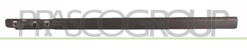 PRASCO RN3251404 Baguette et bande protectrice porte avant gauche noir Compatible avec RENAULT Clio 3 3/5 portes BR0/1, CR0/1 Clio 3 Van SB, SR